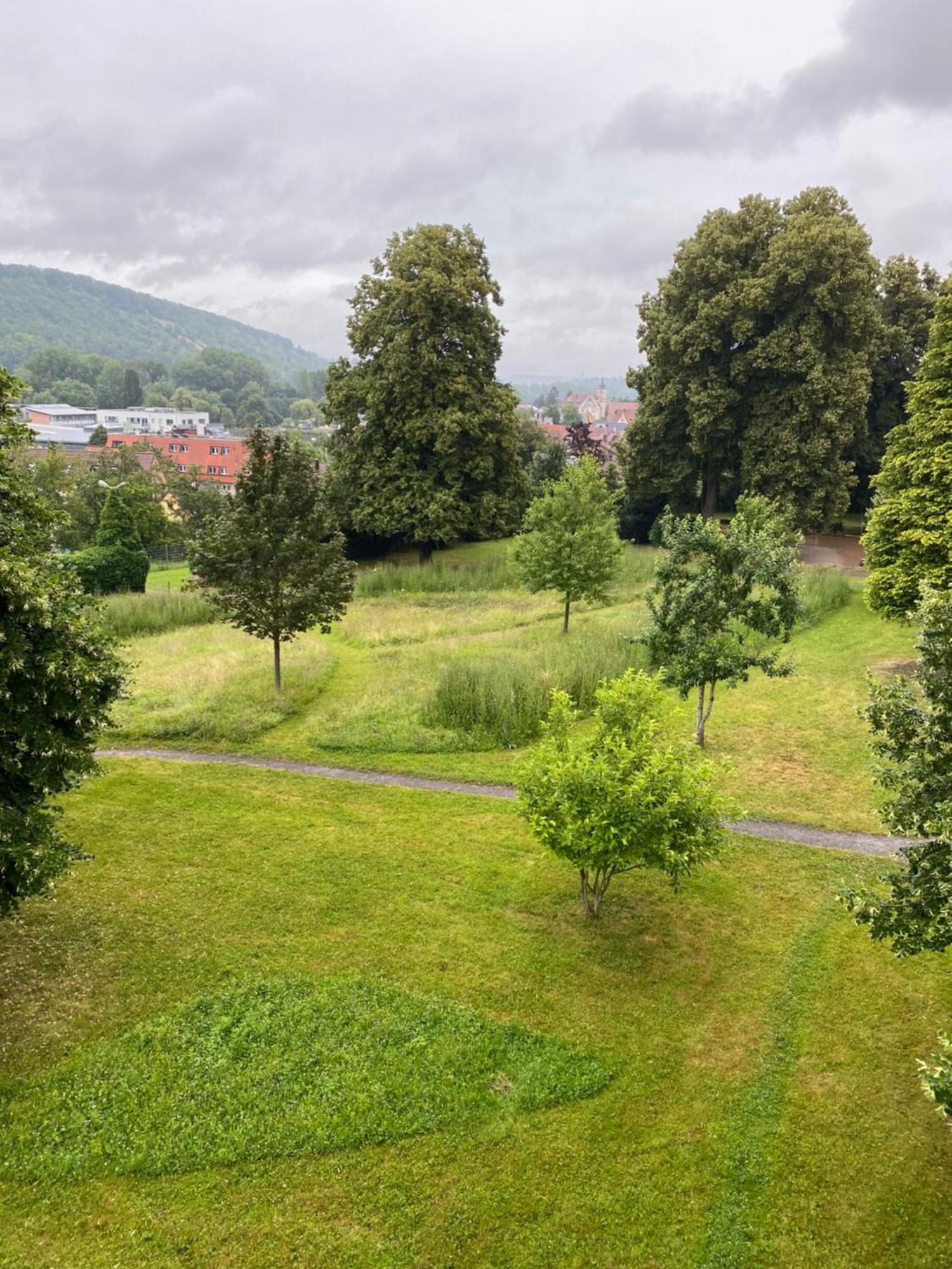 Einzimmer Apartment Niefern-Öschelbronn Buitenkant foto